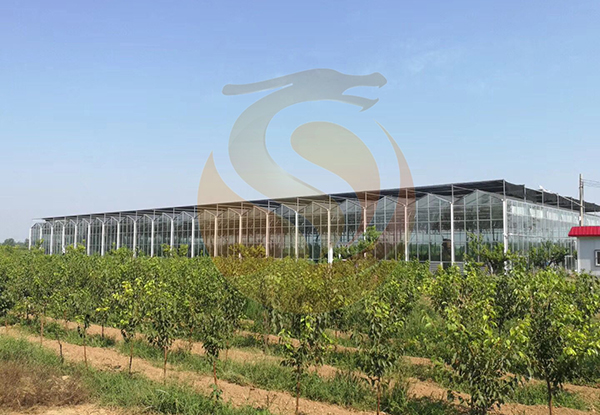 河北省清涼鎮古早清涼現代農業(yè)觀(guān)光旅游項目-智能溫室 河北省清涼鎮古早清涼現代農業(yè)觀(guān)光旅游項目-智能溫室